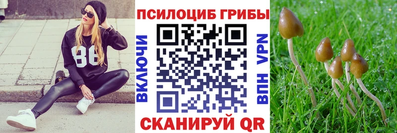 hydra рабочий сайт  как найти закладки  Соликамск  Галлюциногенные грибы прущие грибы 