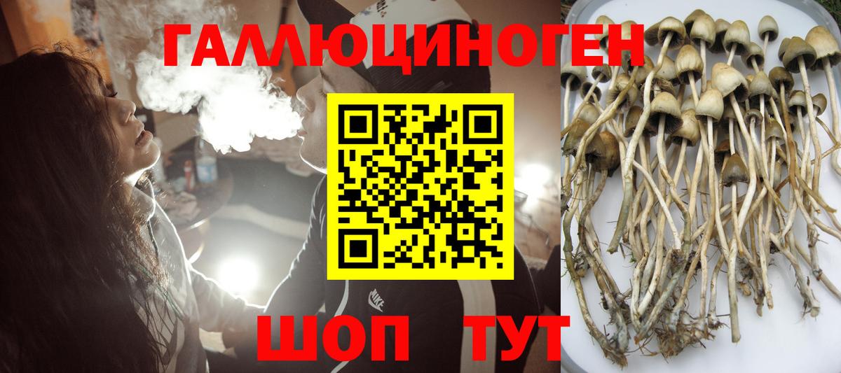 Галлюциногенные грибы Psilocybine cubensis Соликамск