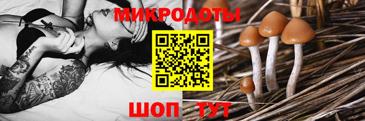 Псилоцибиновые грибы мухоморы  Соликамск 