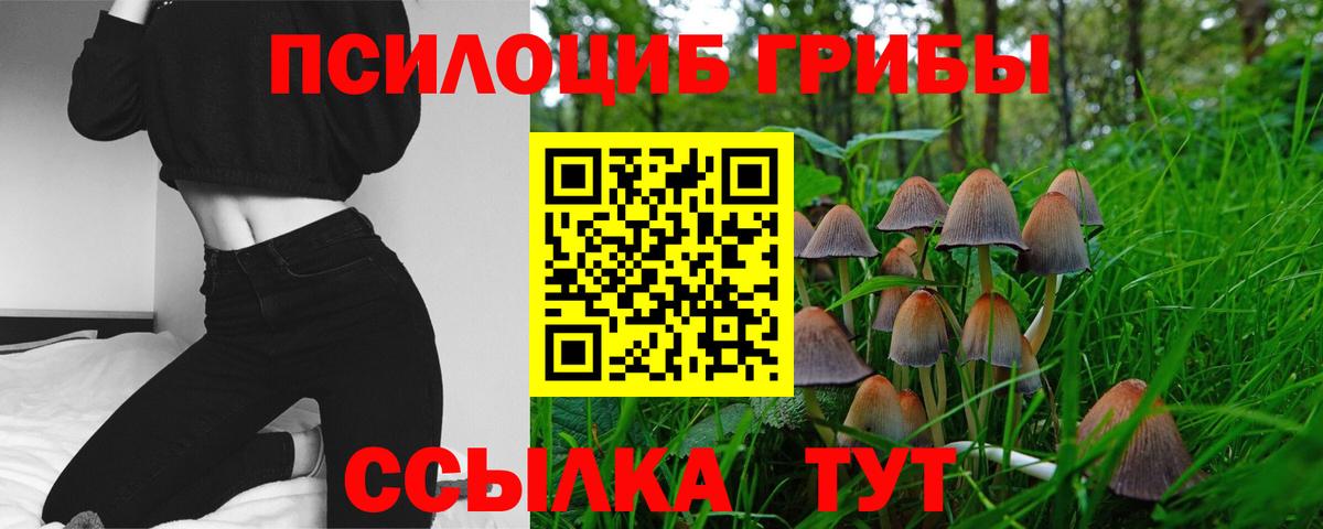 Соликамск  Галлюциногенные грибы Cubensis  купить наркотик  Вход с VPN 